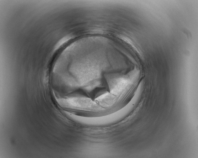 X0000116551450201001071106