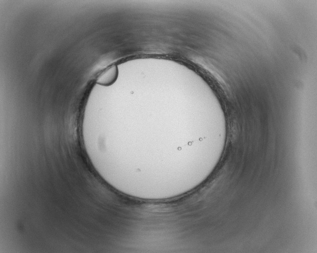 X0000116551451201001071106