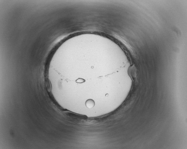 X0000116551452201001071106