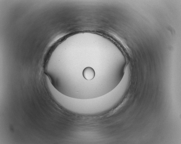 X0000116551453201001071106