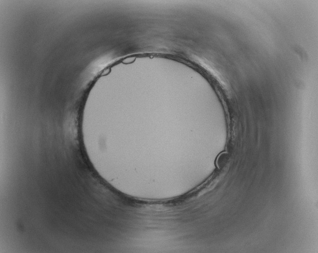 X0000116551455201001071106