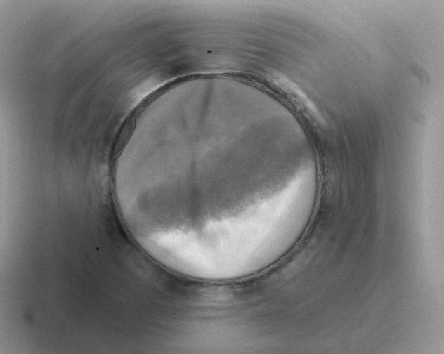 X0000116551457201001071106