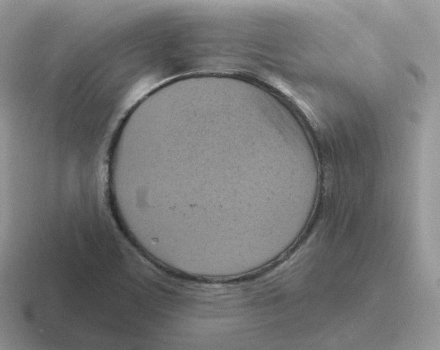 X0000116551459201001071106