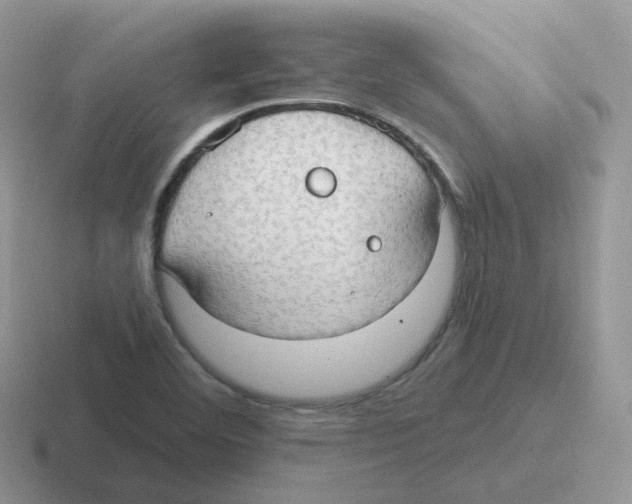 X0000116551460201001071106