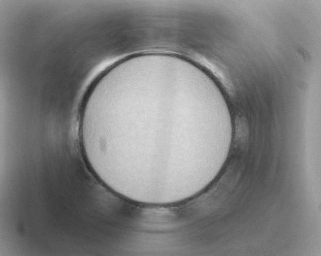 X0000116551462201001071106