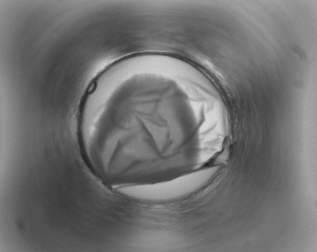 X0000116551463201001071106