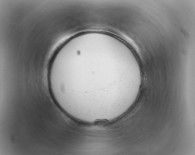 X0000116551464201001071106