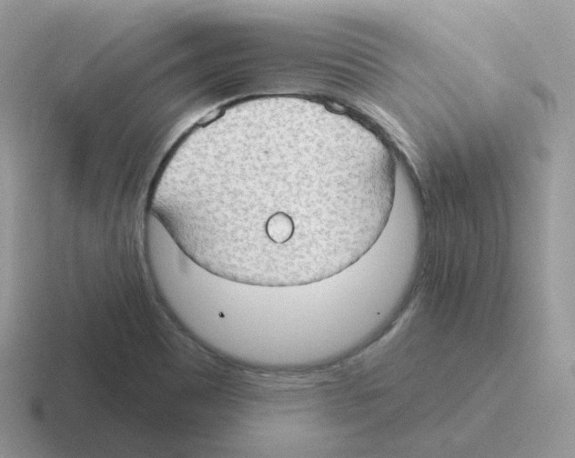 X0000116551465201001071106