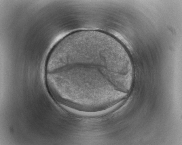 X0000116551469201001071106