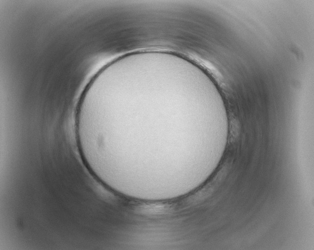 X0000116551470201001071106