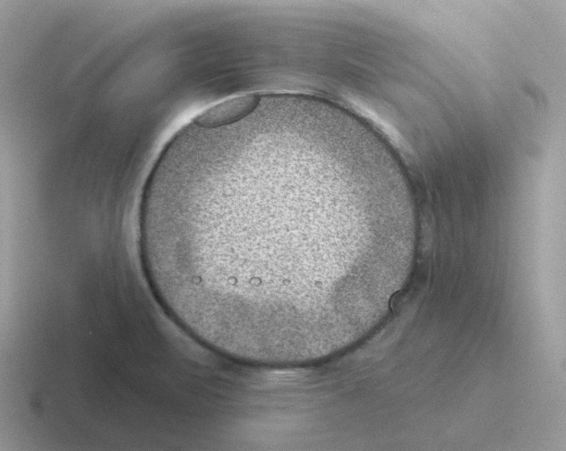 X0000116551471201001071106