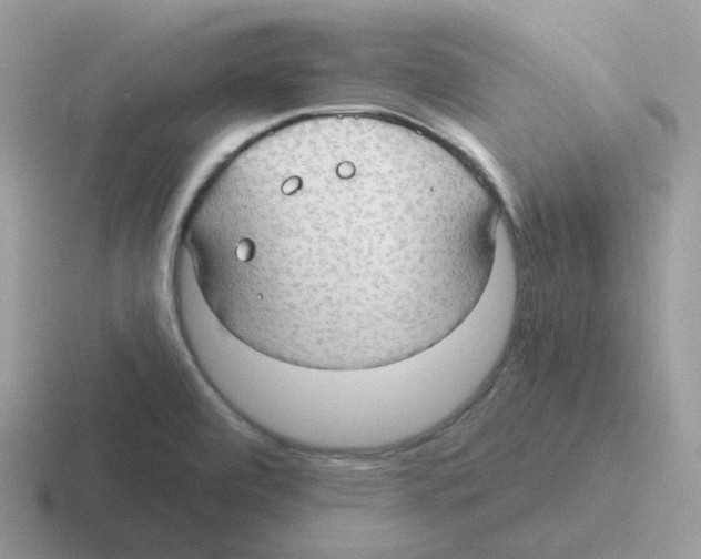 X0000116551472201001071106