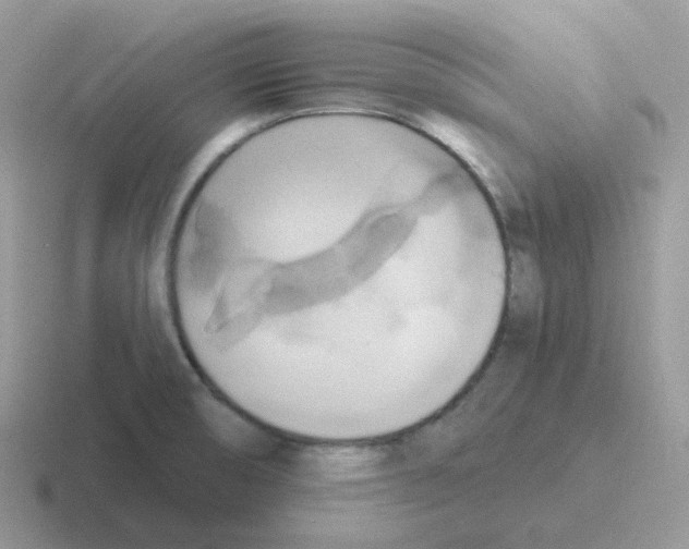 X0000116551474201001071106