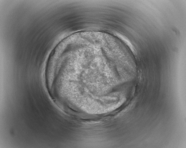 X0000116551475201001071106