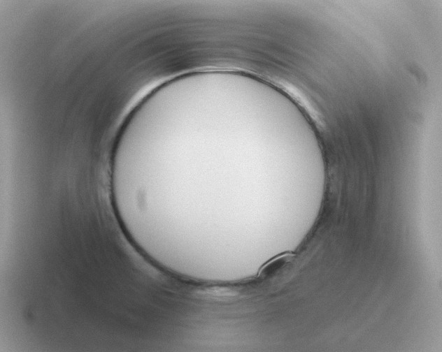 X0000116551476201001071106