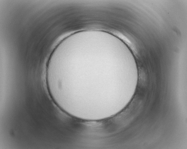 X0000116551478201001071106