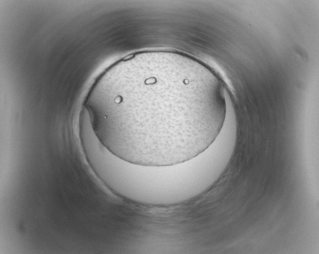 X0000116551480201001071106