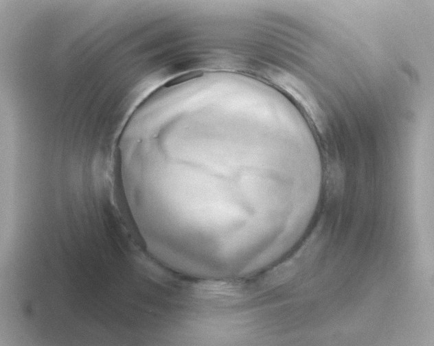 X0000116551481201001071106