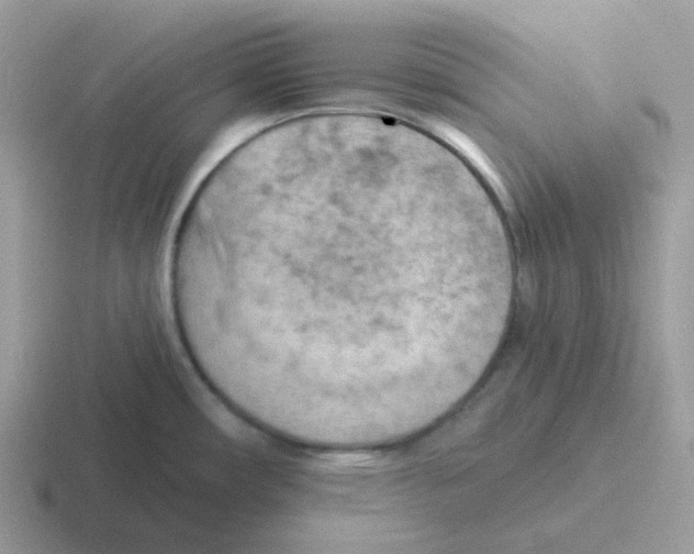 X0000116551482201001071106