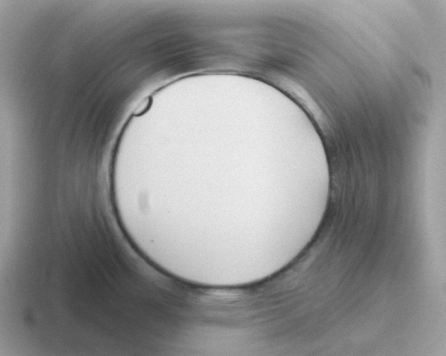 X0000116551483201001071106