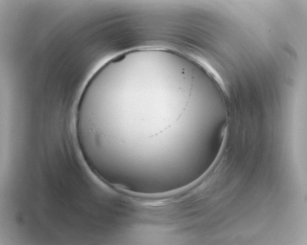 X0000116551484201001071106