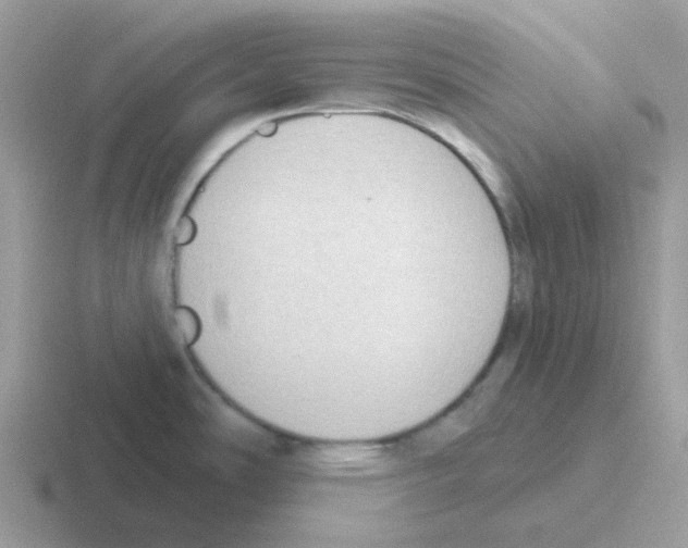 X0000116551486201001071106