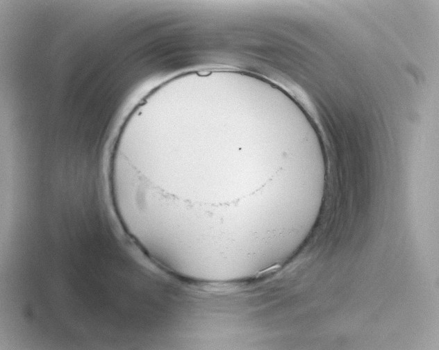 X0000116551488201001071106