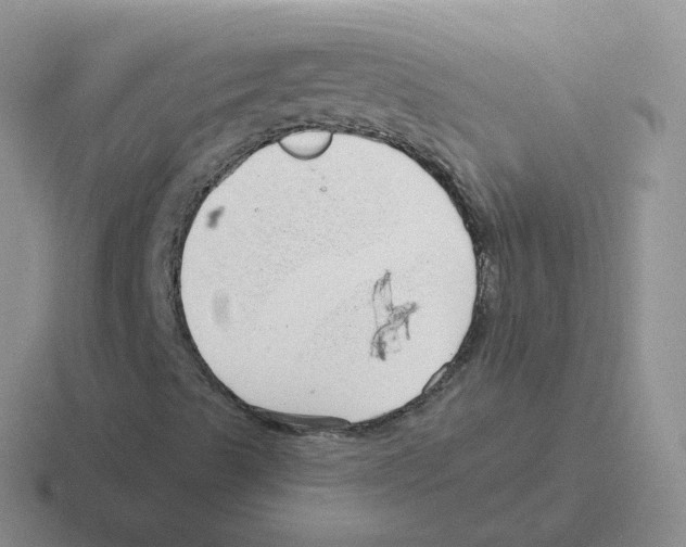 X0000116551489201001071105