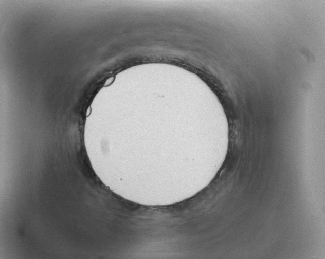 X0000116551493201001071105