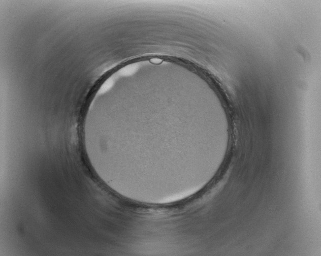 X0000116551497201001071105