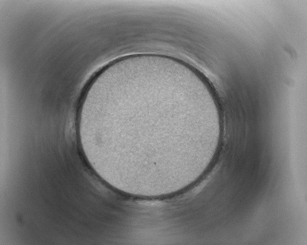 X0000116551498201001071105