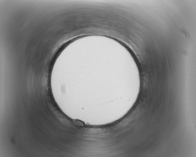 X0000116551499201001071105