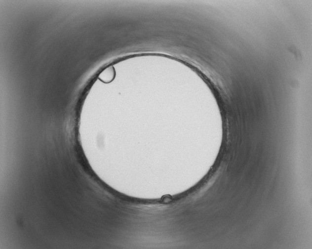 X0000116551502201001071106