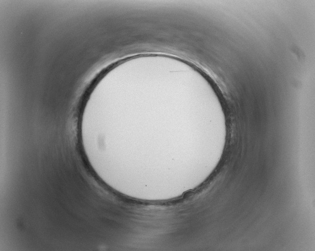 X0000116551503201001071106