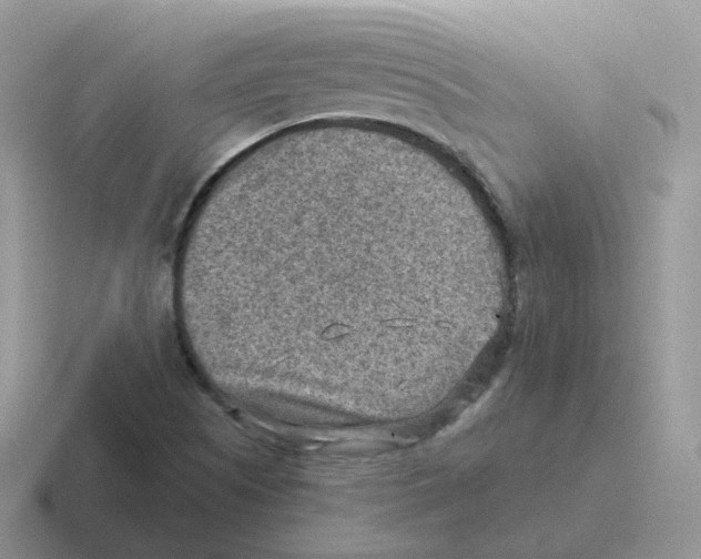 X0000116551505201001071106