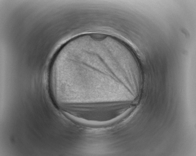 X0000116551506201001071106