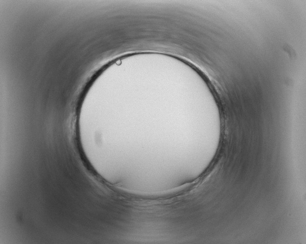 X0000116551507201001071106