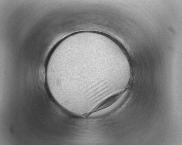 X0000116551509201001071106