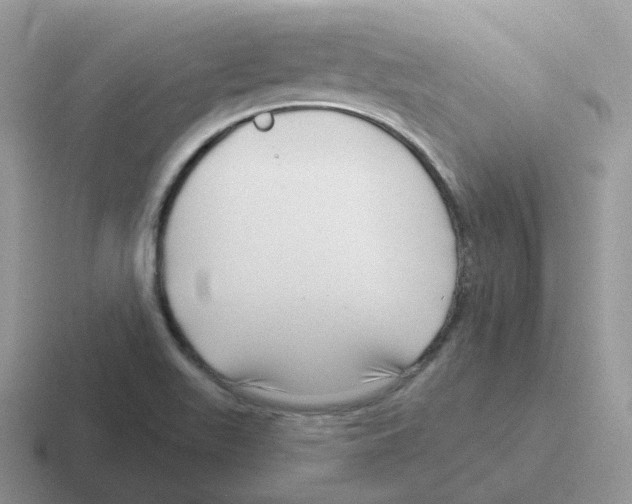 X0000116551511201001071106