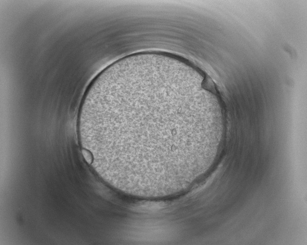 X0000116551513201001071106