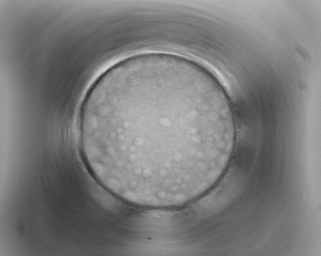 X0000116551514201001071106