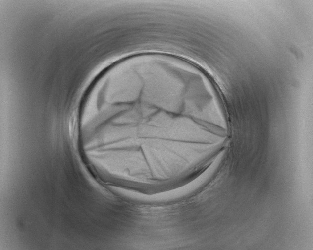 X0000116551515201001071106