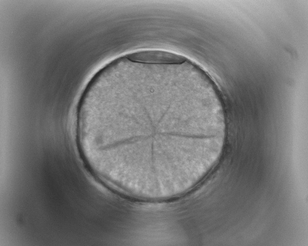 X0000116551519201001071106