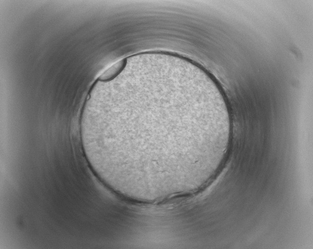 X0000116551521201001071106