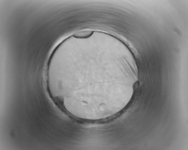 X0000116551522201001071106