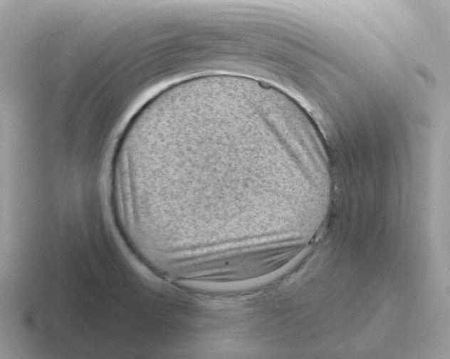 X0000116551523201001071106