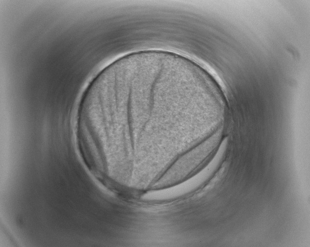 X0000116551525201001071106