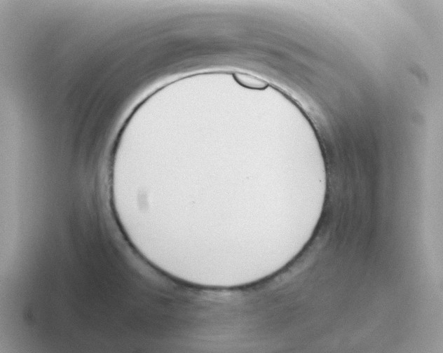 X0000116551526201001071106