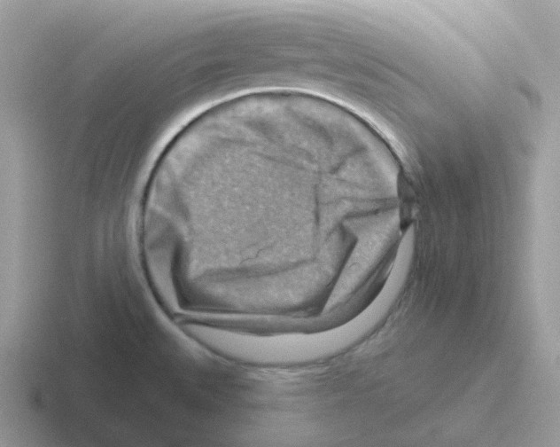 X0000116551527201001071106