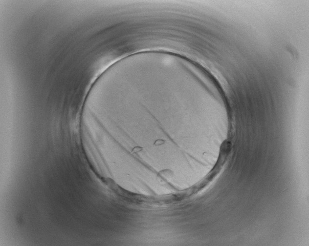 X0000116551529201001071106